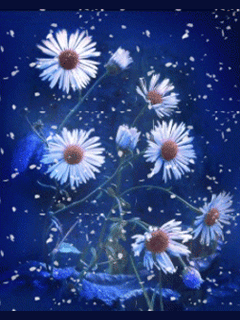 szep_szombat_estet_mindenkinek_1462538_19371.gif
